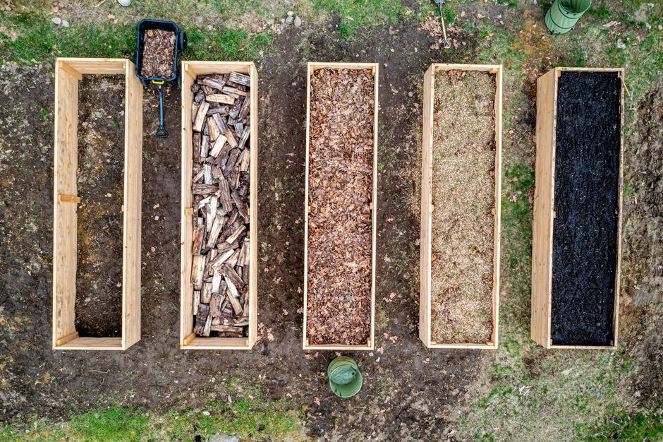 The Weekend-Only Raised Garden Bed: A Complete Guide to Building Without a Permit, a Crew, or a Truckload of Tools