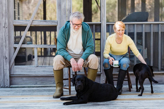 Starting Strong: A Complete Guide to Senior Pet Care for First-Time Owners
