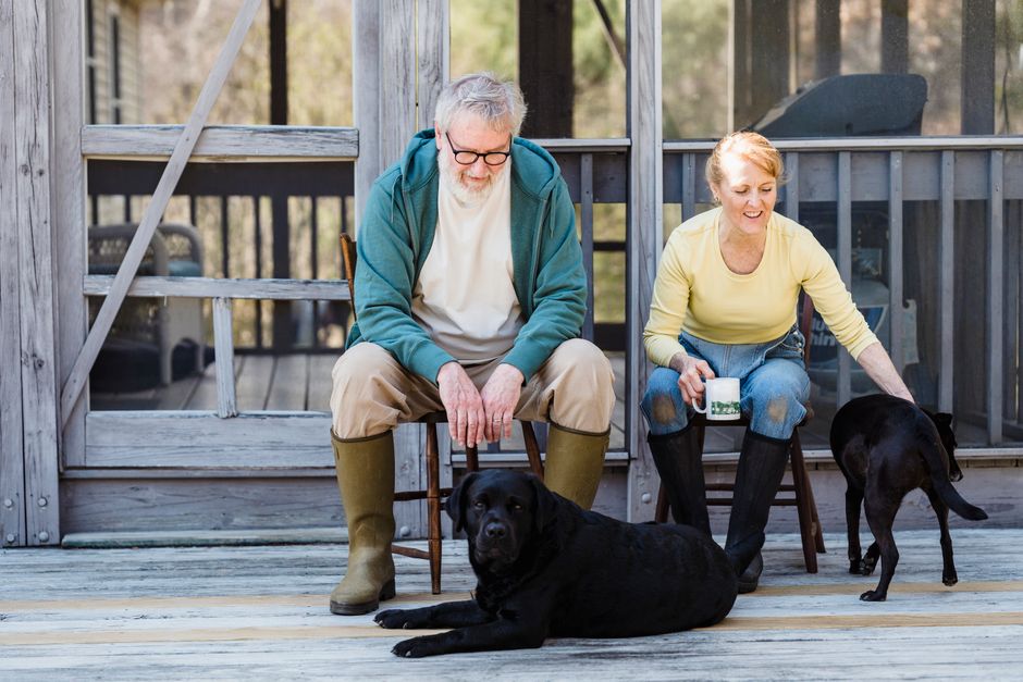 Emergency Preparedness for Senior Pets: A Practical Guide for Pet Owners