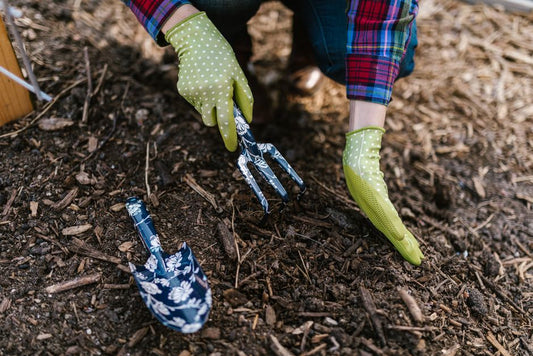 The Essential Mulching Tool System: What You Actually Need to Transform Your Garden Beds