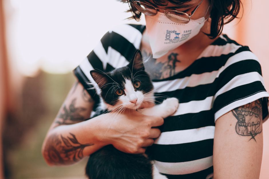 Vet-Approved Kitten Care: Essential Tips for New Owners