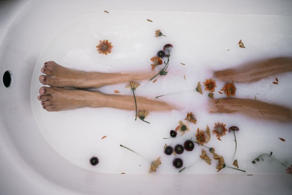 Natural Pet Bathing Tips: A Complete Guide to Herbal Rinses and Gentle Remedies