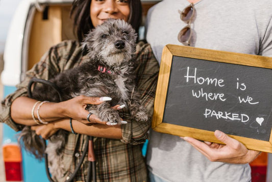 Vet-Approved Pet Travel Tips: Prepare Your Furry Friend for a Safe Journey