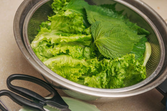 Salads on a Shoestring: Must-Have Tools and Tricks for Budget-Friendly Freshness