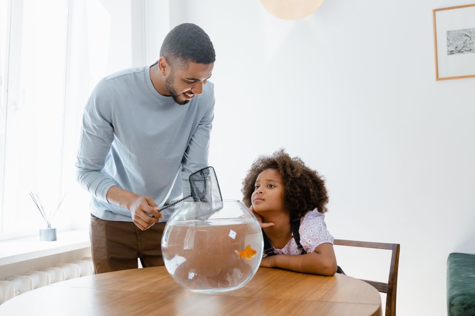 10 Telltale Signs Your Aquarium Needs Immediate Attention (And How to Fix Them)
