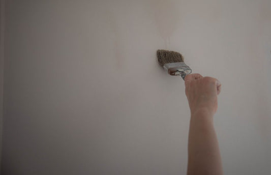 Renter-Proof Wall Makeovers: Damage-Free Techniques and Temporary Treatments