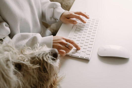 Budget-Friendly Pet Allergy Management: Essential Solutions That Work