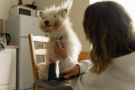 How to Soothe Dog Dry Skin Naturally: Effective Home Remedies and Expert Tips