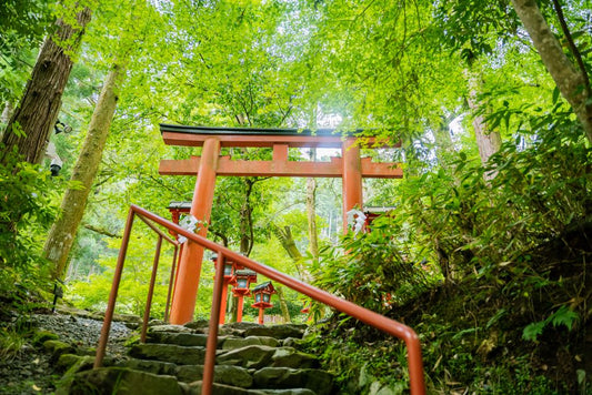 How to Repair a Leaning Gate Without Professional Help: A Step-by-Step Guide