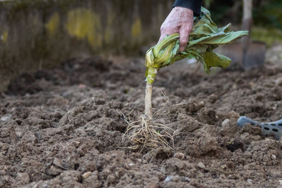 A Year-Round Seasonal Guide to Building a Resilient Garden Tool System