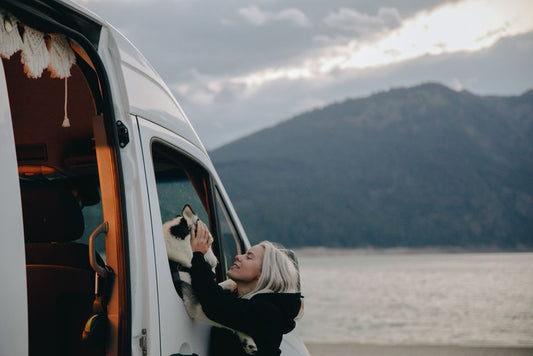 How to Travel with Multiple Pets: The Complete System for a Stress-Free Journey