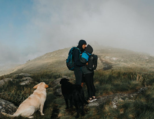 Budget-Friendly Pet Travel: Essential Gear for Stress-Free Adventures
