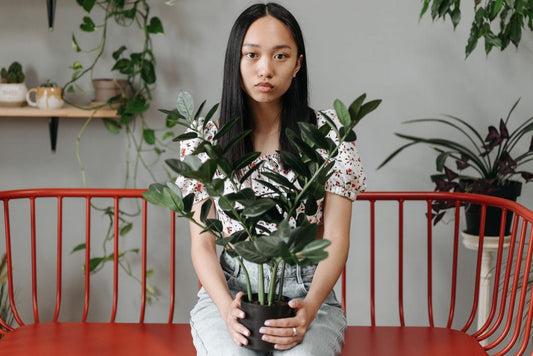 The Tell-Tale Signs of ZZ Plant Distress and How to Rescue Your Resilient Houseplant