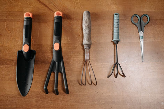Window Box Gardening Essentials: A Practical Guide to Tools and Techniques