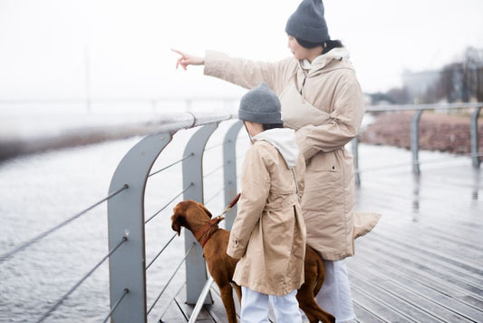 Seasonal Pet Travel Safety: A Complete Guide to Year-Round Readiness