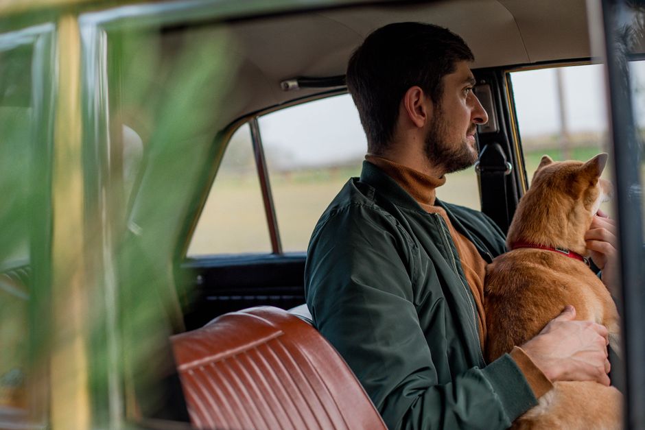 Preventing Pet Travel Stress: Essential Tips for a Smooth Journey