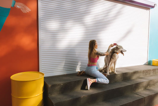 How to Groom a Nervous Dog Without Stress: A Step-by-Step Guide