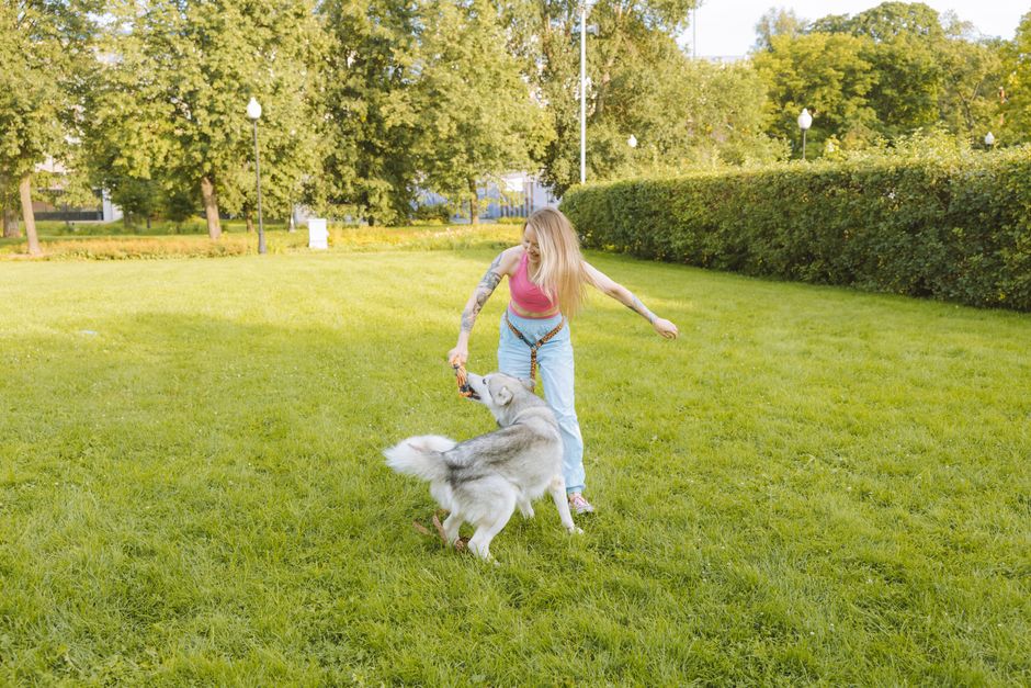How to Prevent Pet Space Training Accidents Before They Happen