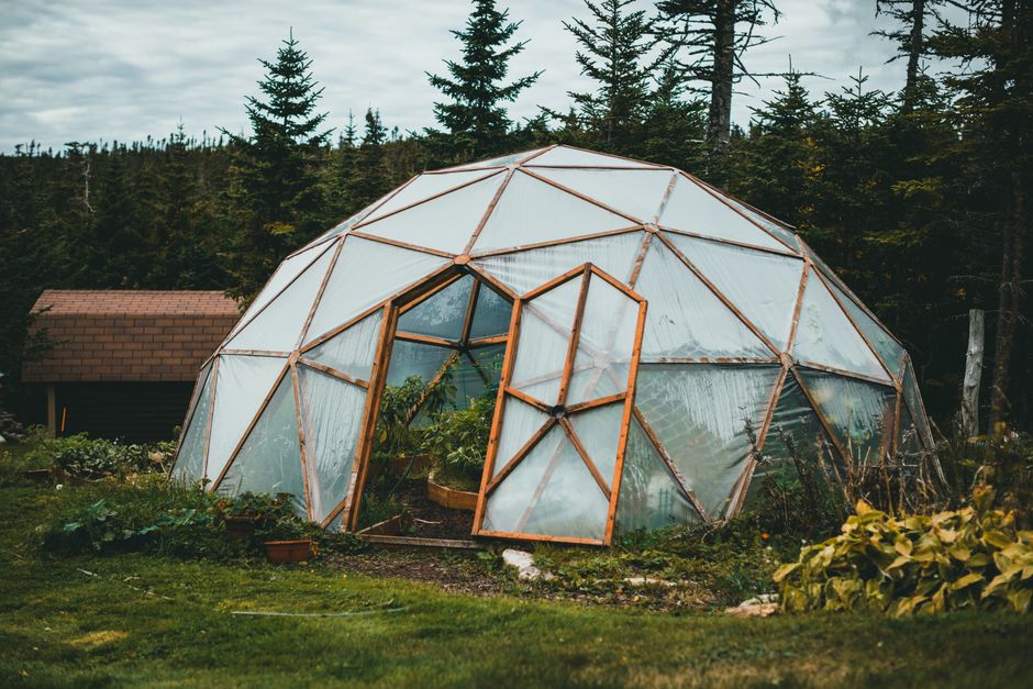 Organic Seasonal Planting Guide: Build a Self-Sustaining Garden Without Synthetic Inputs