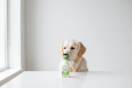 Can Dogs Eat Ranch Dressing
