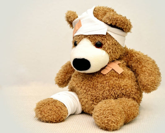Vet-Approved Pet First Aid Tips Every Owner Should Know
