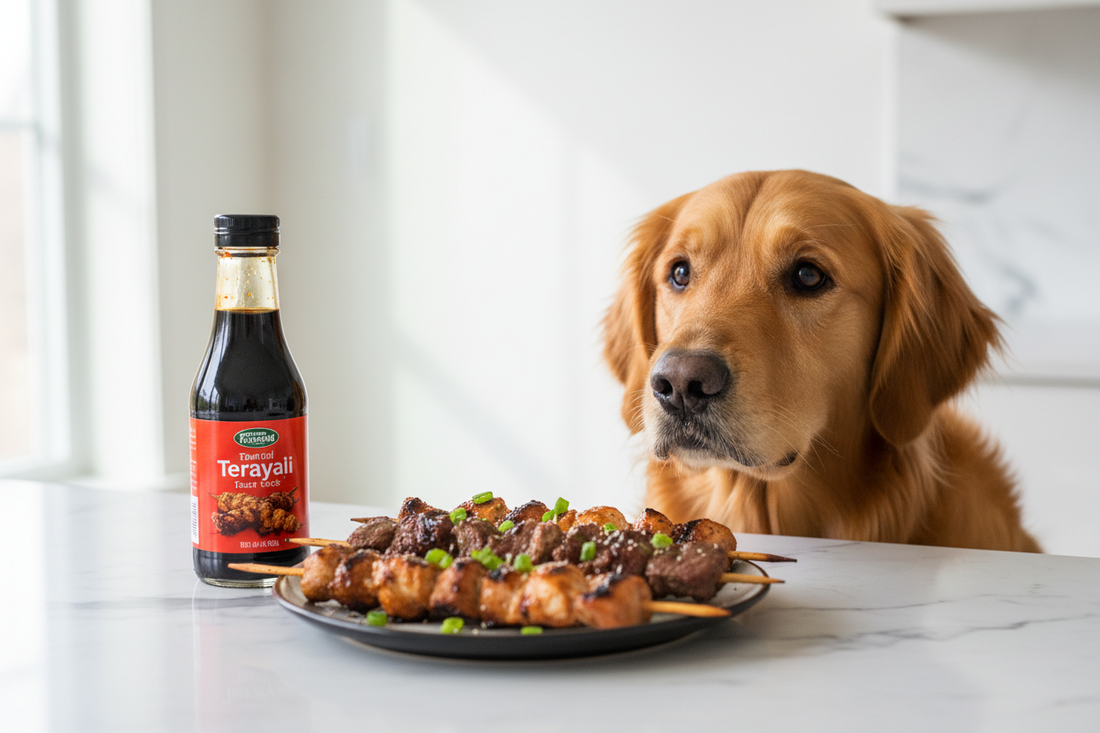 Can Dogs Eat Teriyaki Sauce