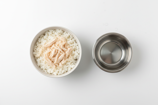 What to Feed a Dog with Diarrhea
