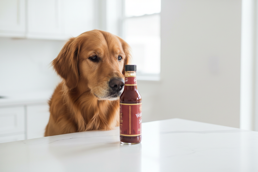 Can Dogs Eat Worcestershire Sauce